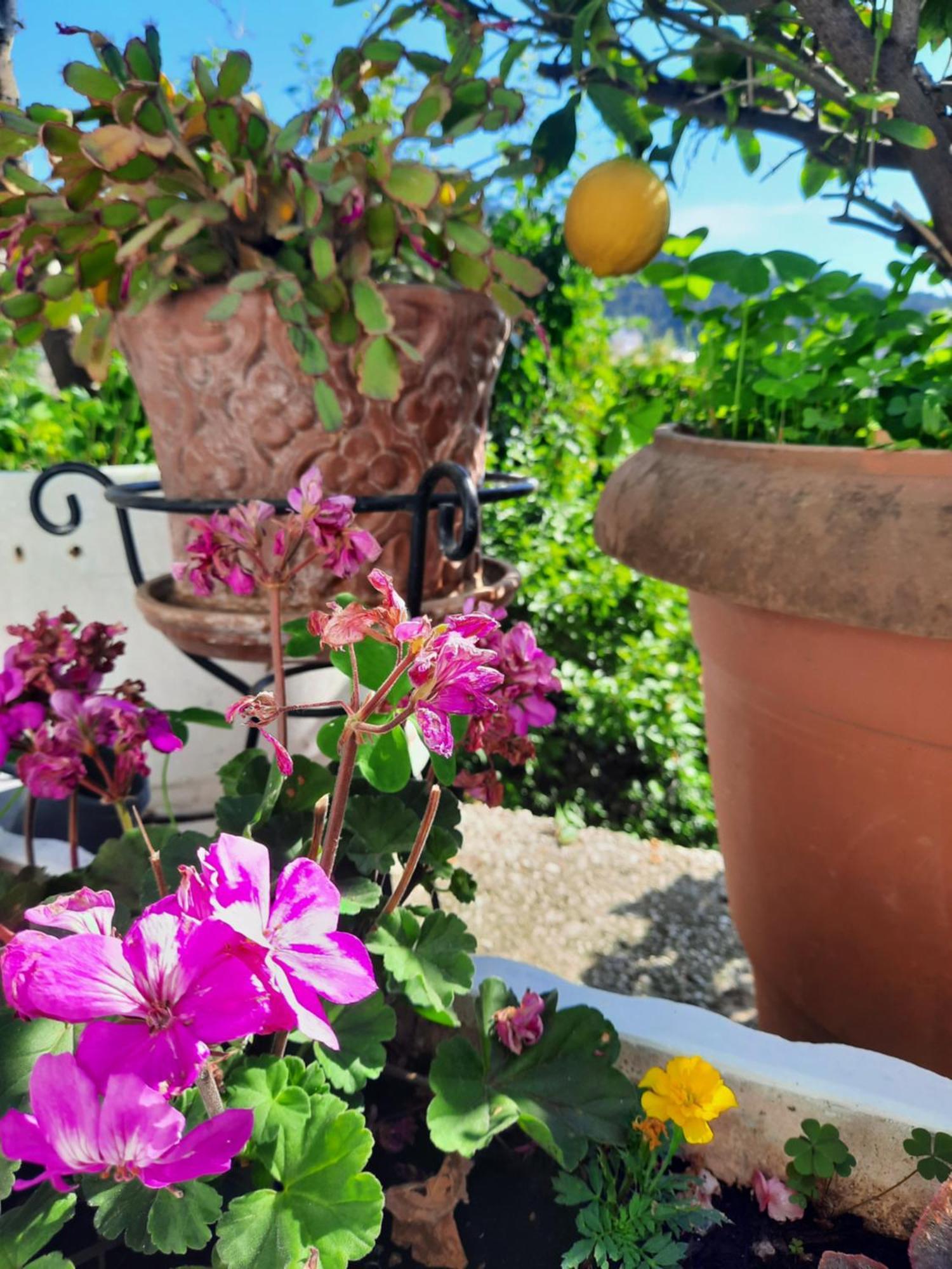 Vasilis Garden House Villa Kavala Eksteriør billede